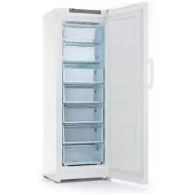 Морозильная камера Indesit DFZ 5175 W