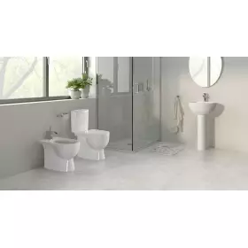 Унитаз компакт Sanita Art Lux ARTSLCC01040622 сиденьем полипропилен