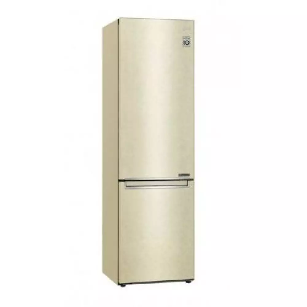 Холодильник LG GC-B509SECL (GA-B509SECL)