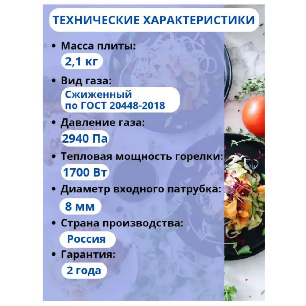 Газовая плита Мечта 100 м