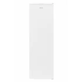 Морозильная камера Nesons NS-FS170W54NFN20NHB
