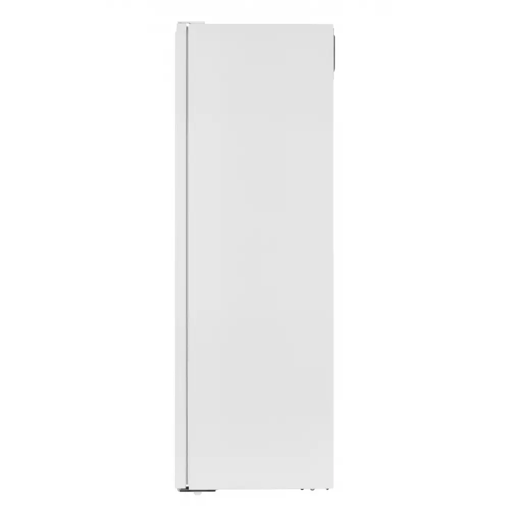 Морозильная камера Nesons NS-FS170W54NFN20NHB