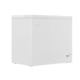 Морозильный ларь Candy  CCM251R 200-259л